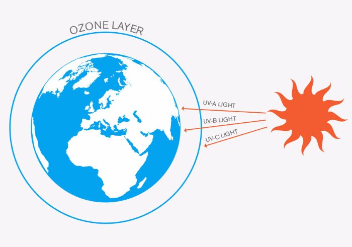 UV-C light deadly to microorganisms