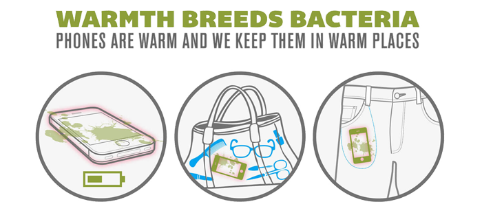 Breeding ground for bacteria