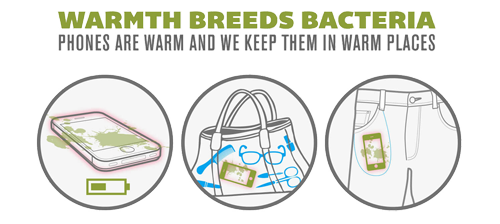 Breeding ground for bacteria
