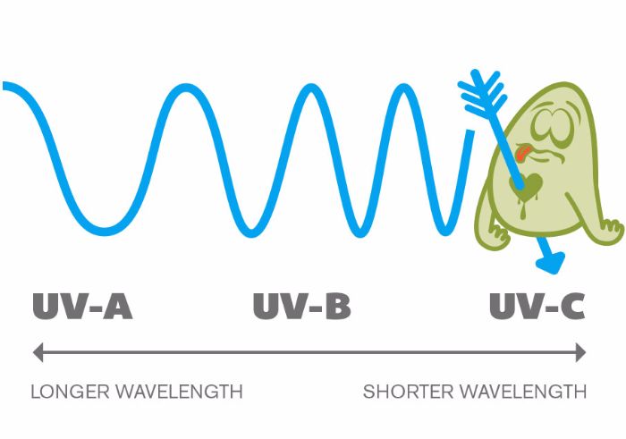 UV-C light deadly to microorganisms
