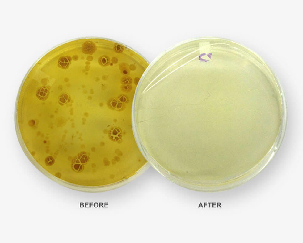 How Effective is PhoneSoap 2.0?